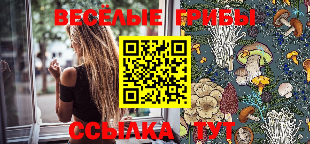 Псилоцибиновые грибы прущие грибы  Вход с VPN  Советская Гавань  Галлюциногенные грибы GOLDEN TEACHER 